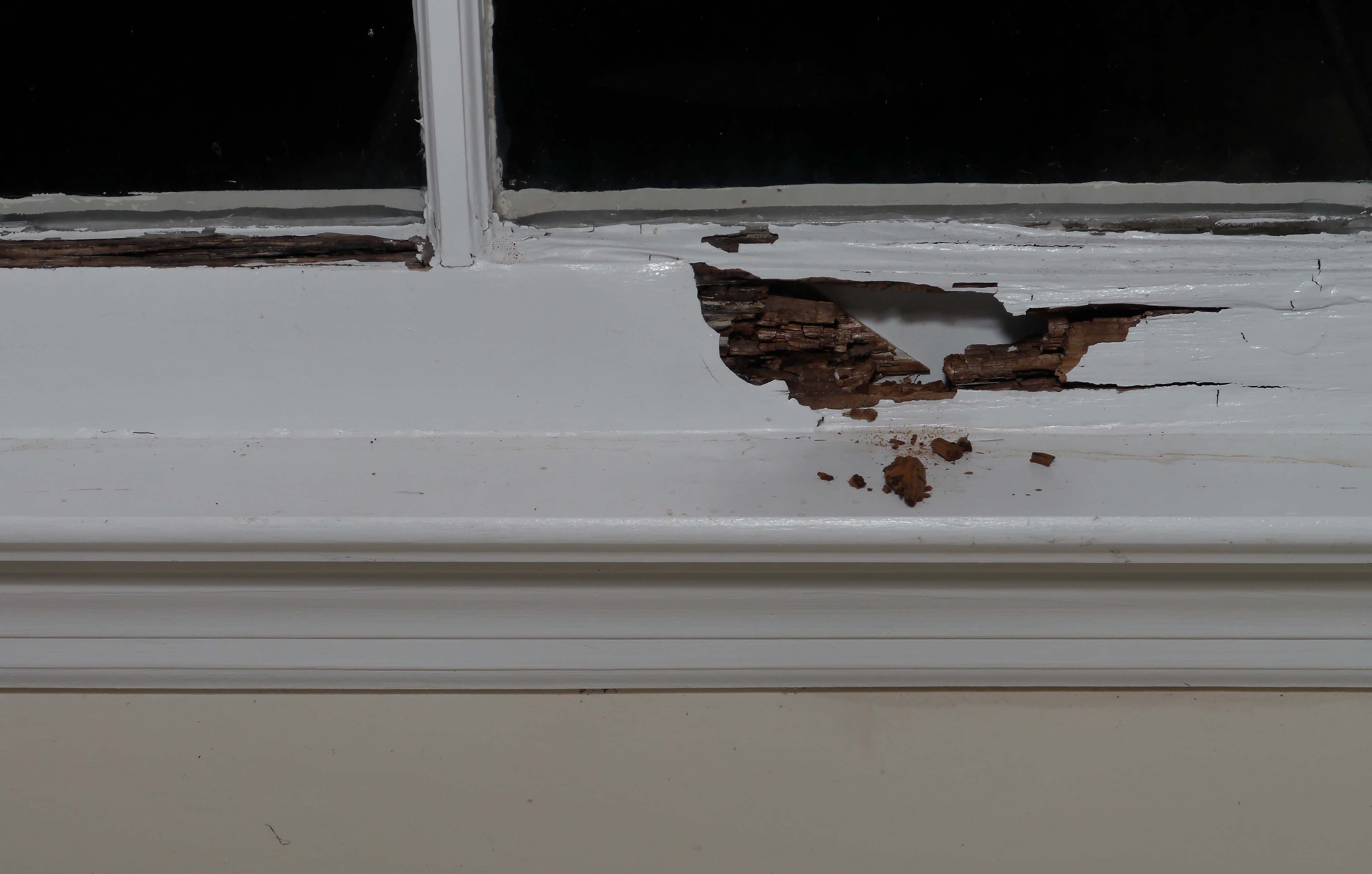 Repair A Rotted Window Sill Self Made Homes